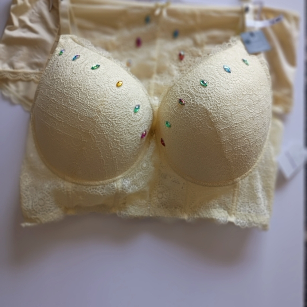 Embellished Lace Bra in Cream